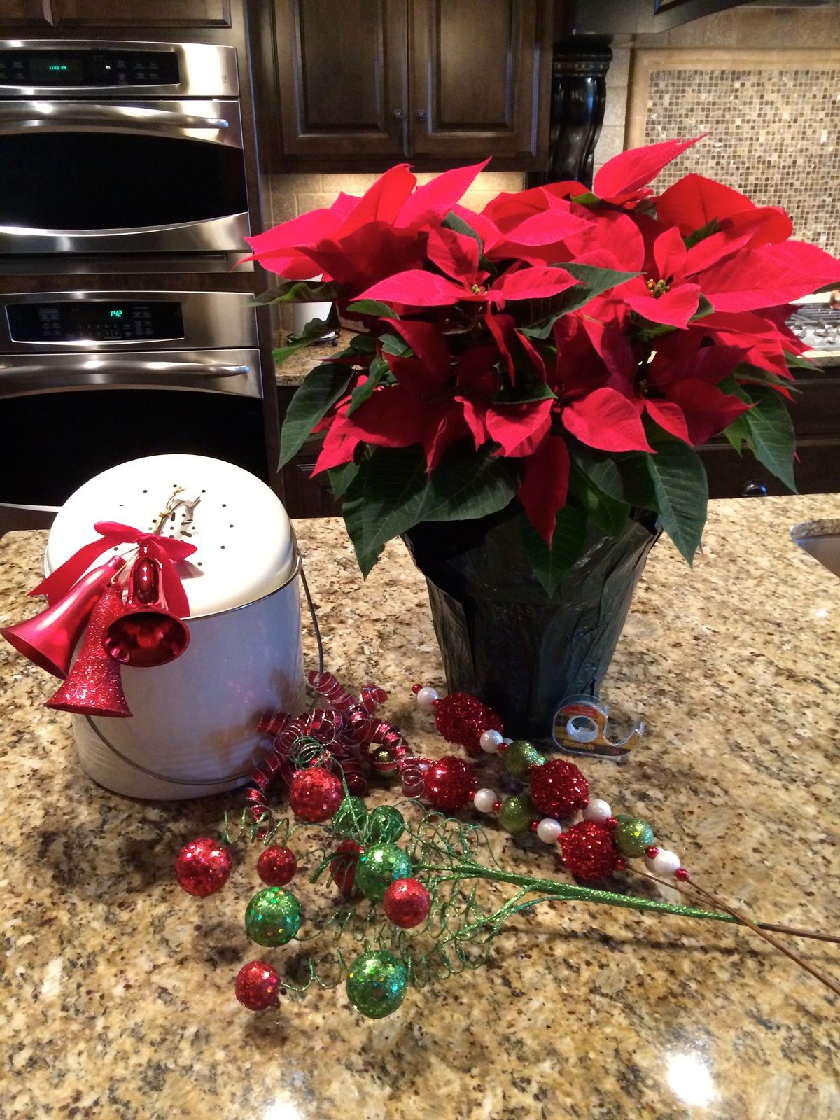Poinsettias and compost pails